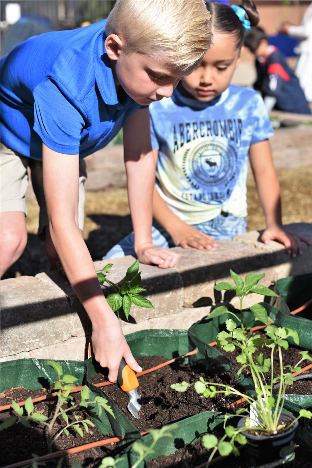 Community Garden Grand Opening - March, 2023